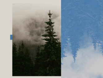 Blugazer