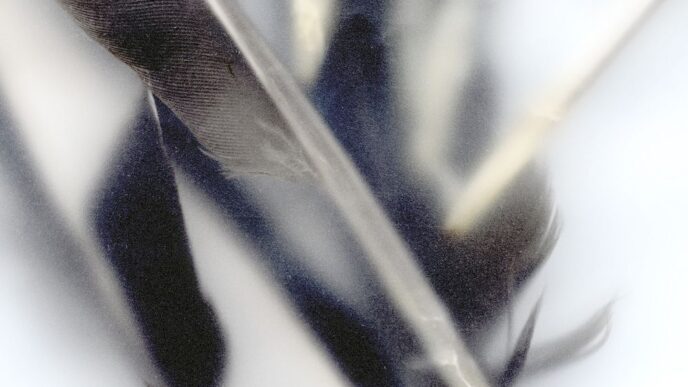 Penryn