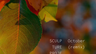 Sculpture Projects