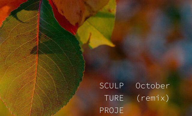 Sculpture Projects