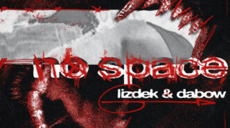 Lizdek