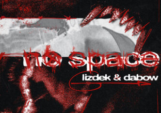 Lizdek