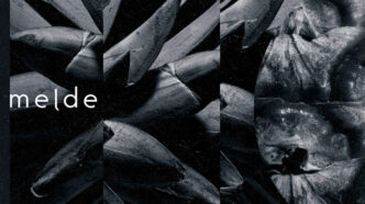 Melde