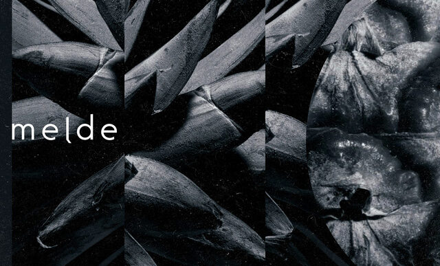 Melde