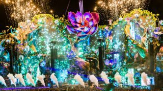 SafeSpace e Tomorrowland