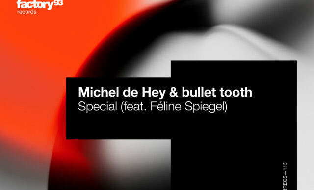 Michel de Hey