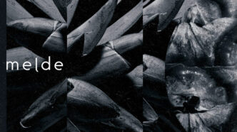 Melde