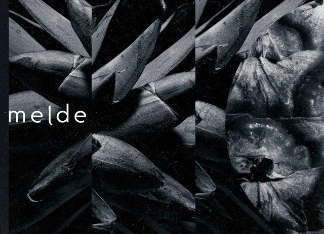 Melde