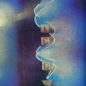 Frank Lotion & DJ Hygge - Love All Night