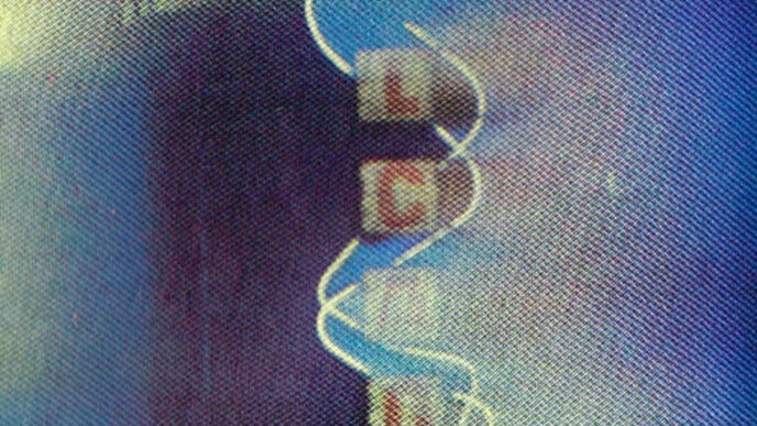 Frank Lotion & DJ Hygge - Love All Night