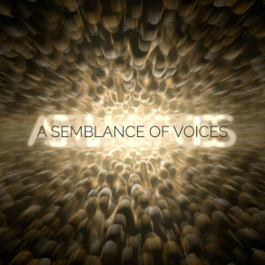 David Coyle - A Semblance of Voices