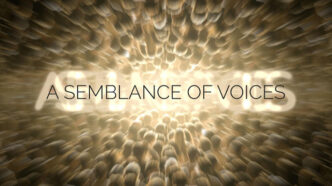 David Coyle - A Semblance of Voices