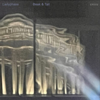 Ladyphase - Beak