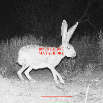 Mataliebre - Cirrus