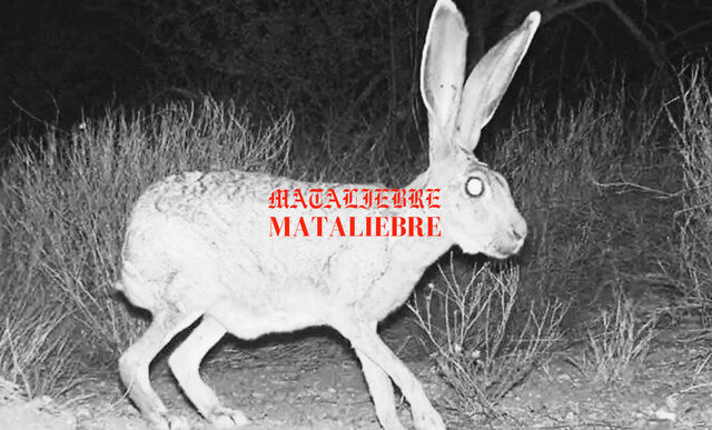 Mataliebre - Cirrus
