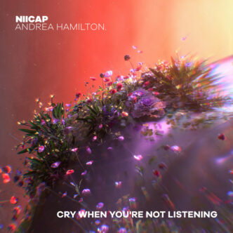 Niicap - Cry when you're not listening