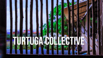 Turtuga Collective - Shake