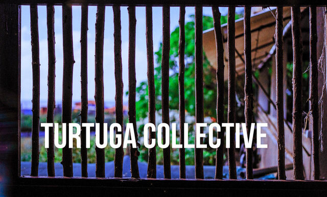 Turtuga Collective - Shake