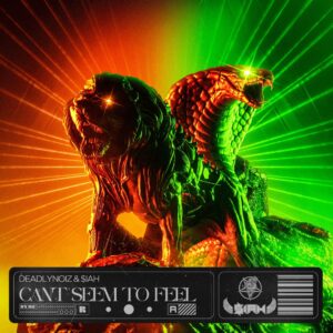 Deadlynoiz - Deadlynoiz & $IAH - Can't Seem To Feel