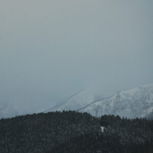Snowk - Soen