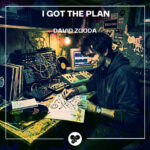 David Zgoda - I Got the Plan