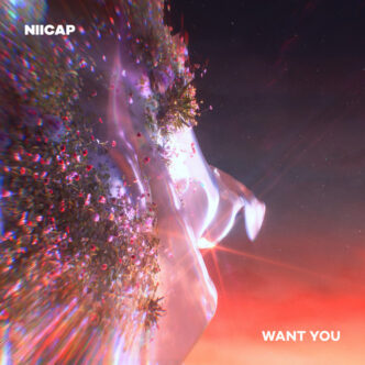 Niicap - Want you